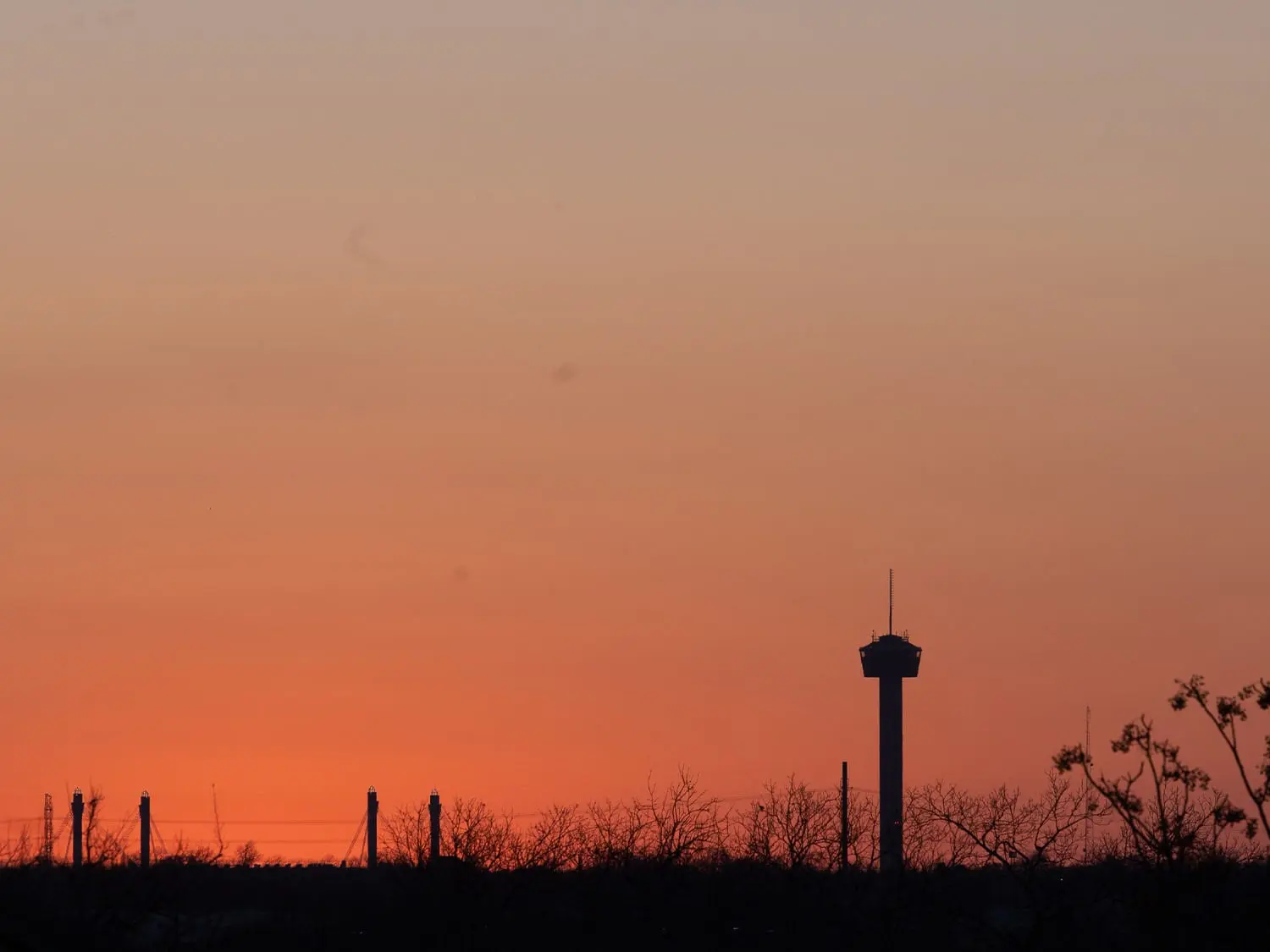 View of Tower of the Americas from Red Berry Estate